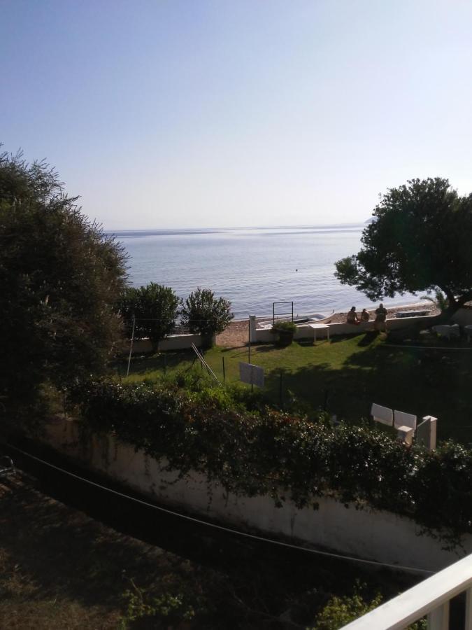 מסונגי Dimitris Apartments Messongi מראה חיצוני תמונה